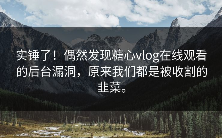 实锤了！偶然发现糖心vlog在线观看的后台漏洞，原来我们都是被收割的韭菜。