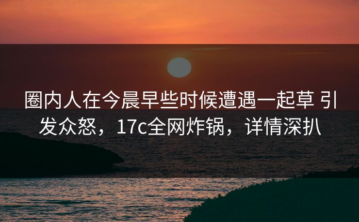 圈内人在今晨早些时候遭遇一起草 引发众怒，17c全网炸锅，详情深扒